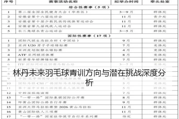 林丹未来羽毛球青训方向与潜在挑战深度分析